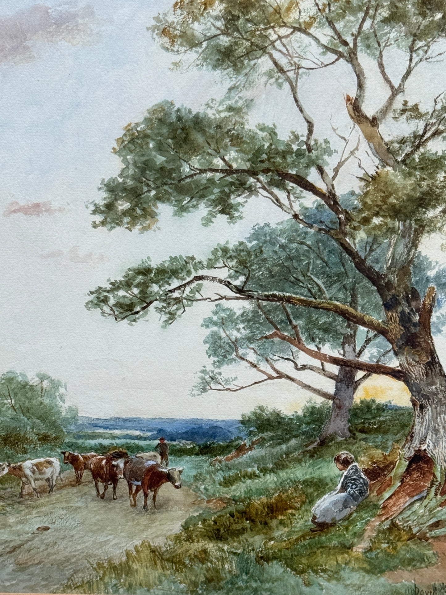 A Lovely Original English Watercolour Painting of Cattle Signed David Bates