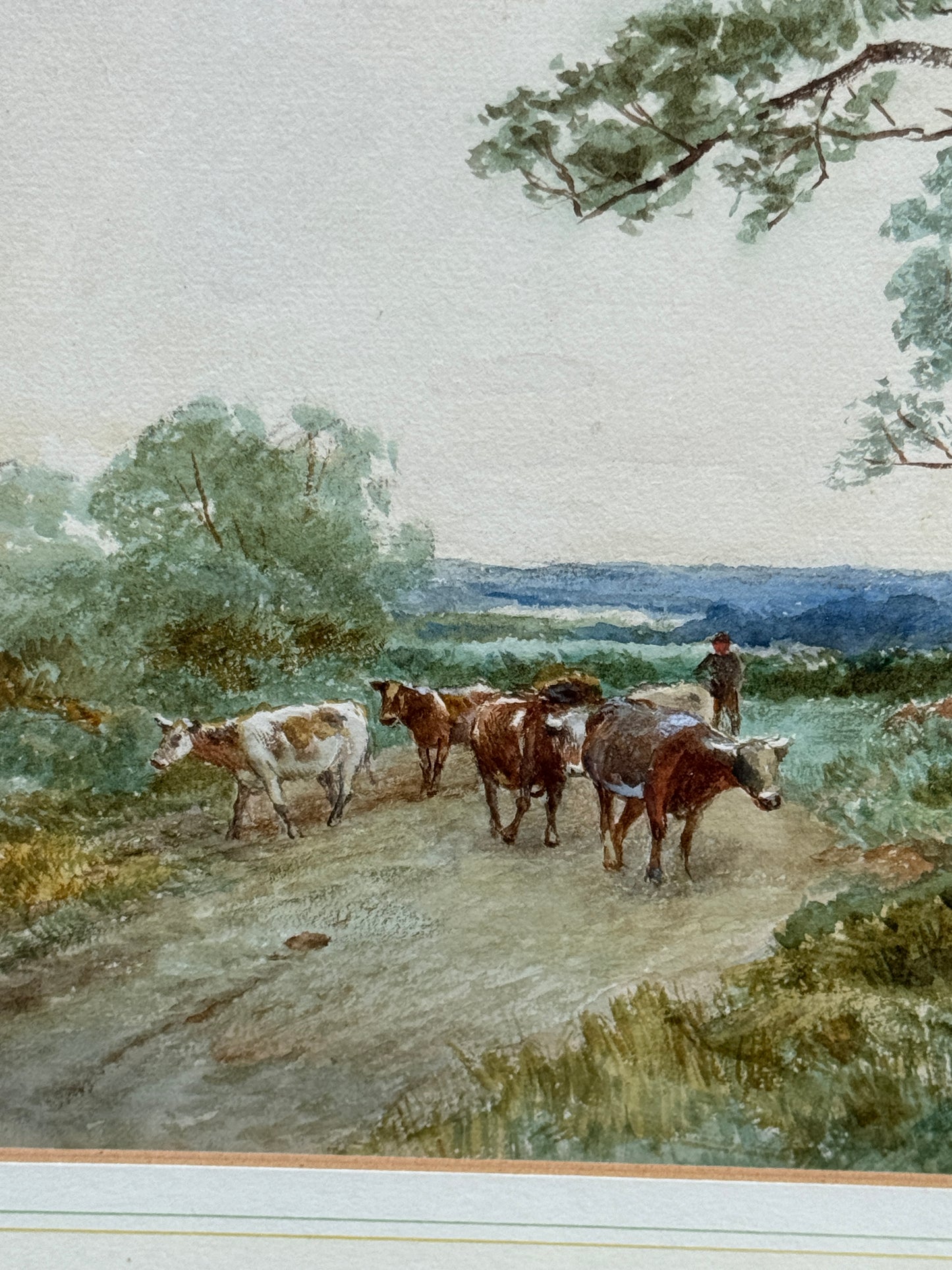 A Lovely Original English Watercolour Painting of Cattle Signed David Bates