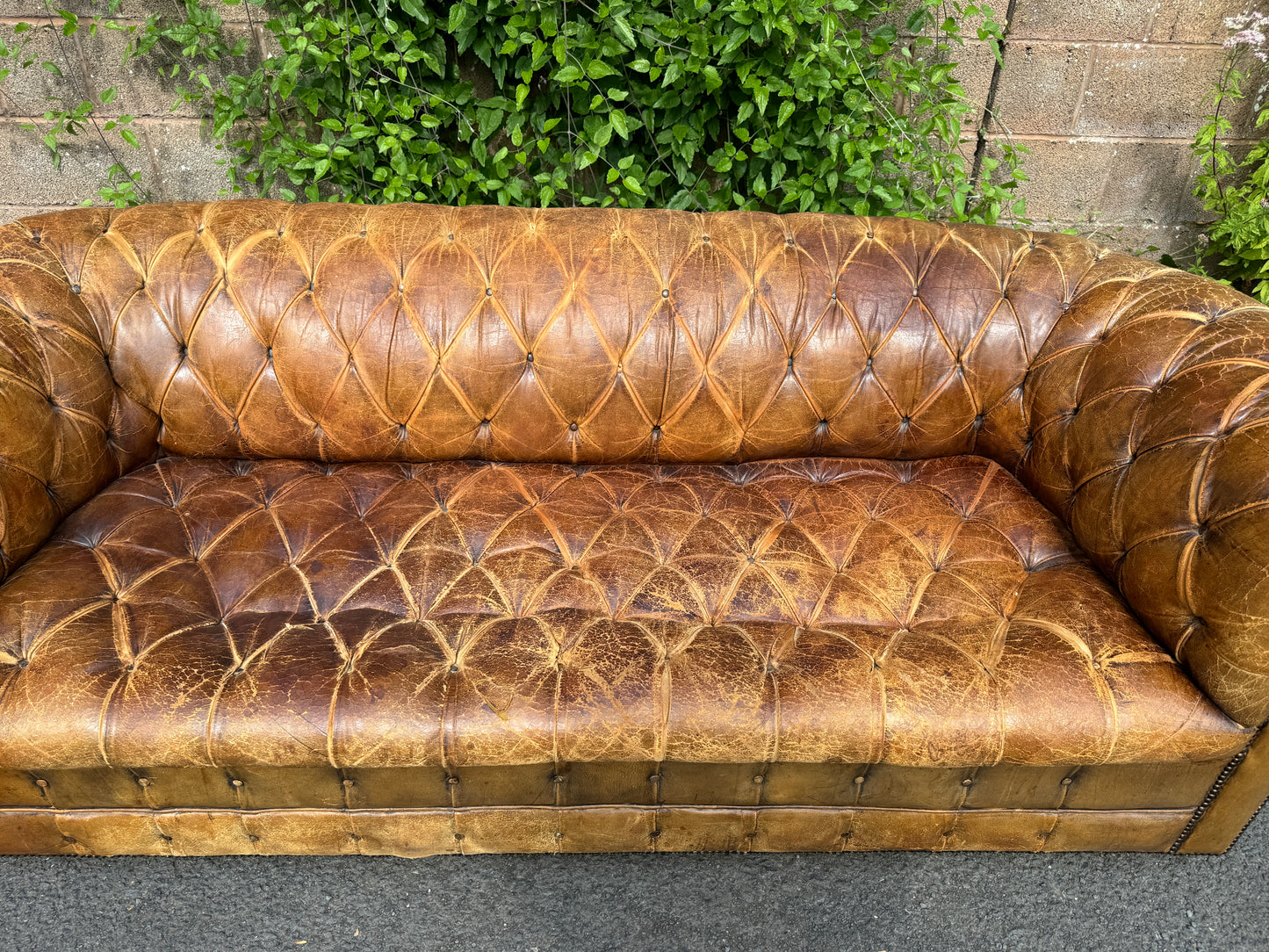Antique Vintage Brown Leather Time Worn 3 Seater Chesterfield Sofa