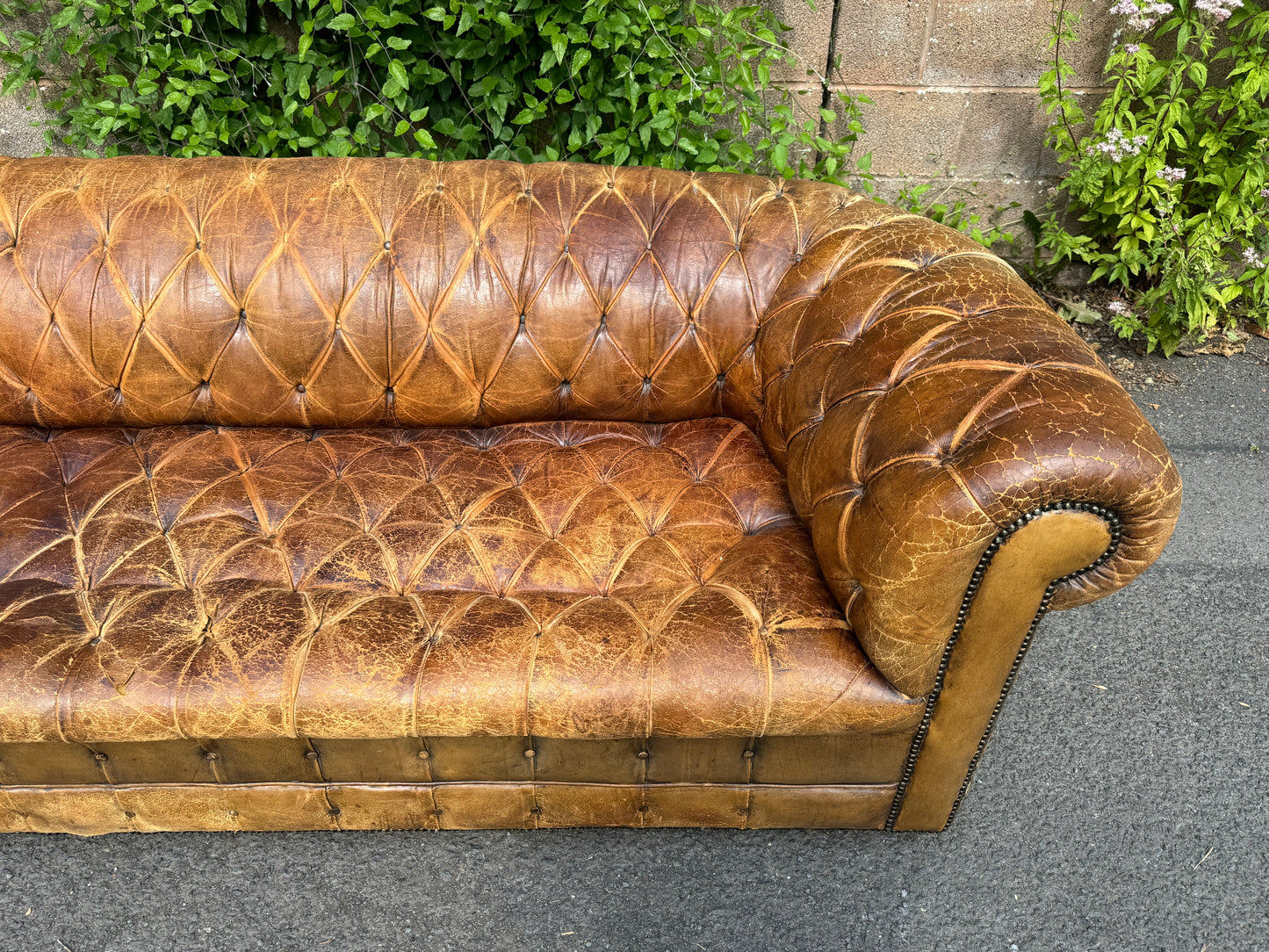 Antique Vintage Brown Leather Time Worn 3 Seater Chesterfield Sofa