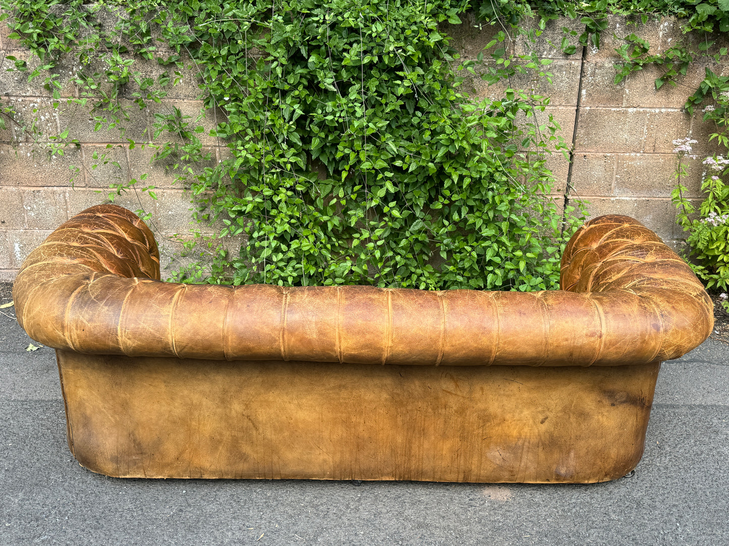 Antique Vintage Brown Leather Time Worn 3 Seater Chesterfield Sofa