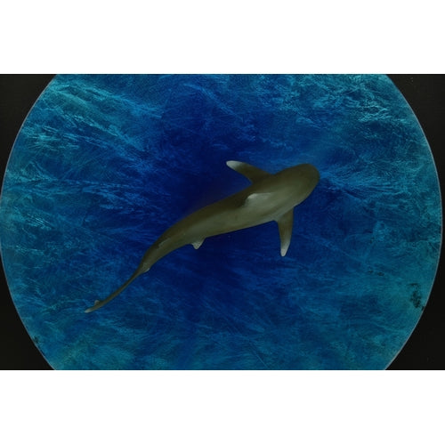 NICK O'NEILL (BRITISH CONTEMPORARY) 'THE GREAT BLUE', signed Ltd Ed Mixed Media
