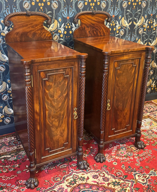 Superb Pair 19th Century Pedestal Bedside / Lamp Tables