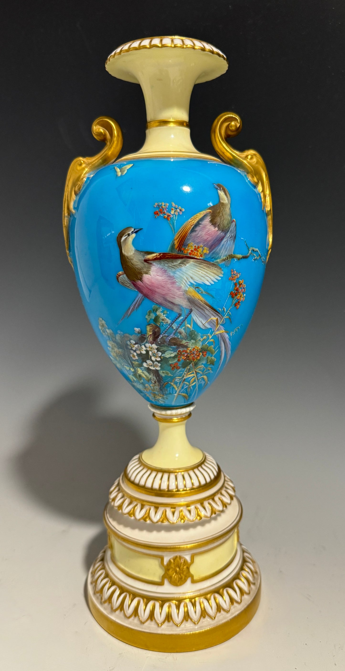 A Stunning Rare Royal Worcester Vase Hand Painted with Birds Shape 1969