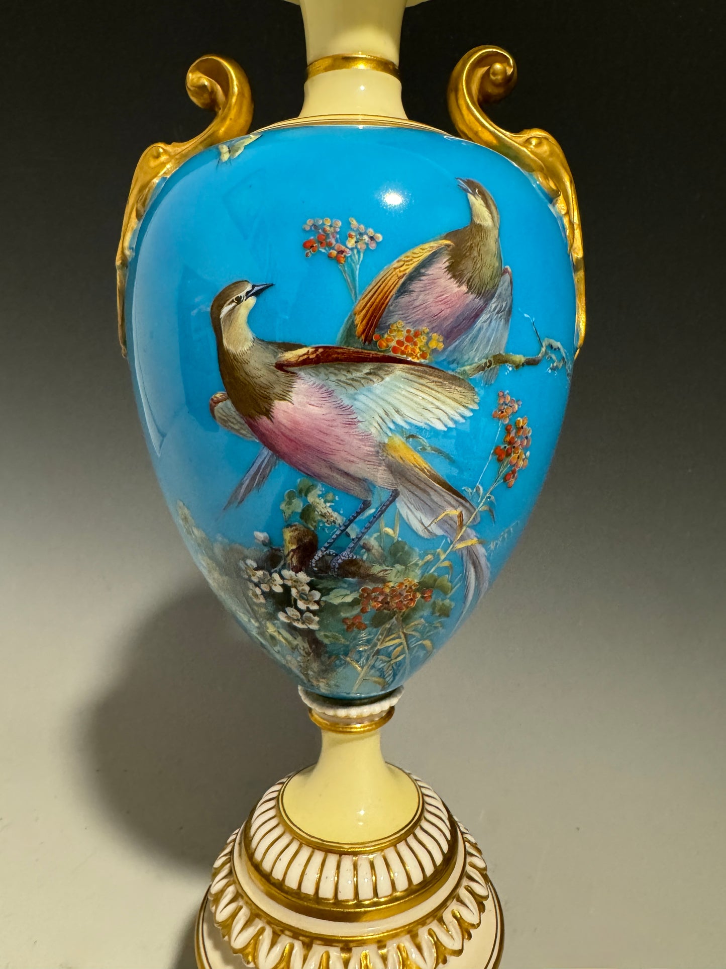 A Stunning Rare Royal Worcester Vase Hand Painted with Birds Shape 1969